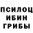 Галлюциногенные грибы мицелий Varsh Boorugadda