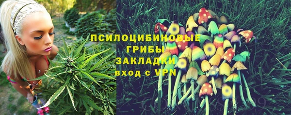 СК Снежинск
