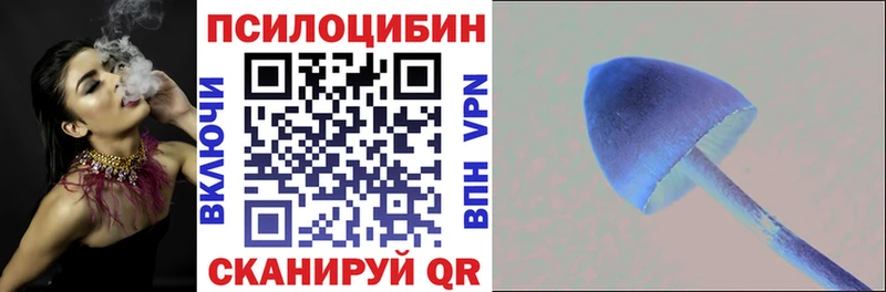 гидра ссылка  закладка  Абдулино  Галлюциногенные грибы GOLDEN TEACHER 